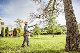 Best Arborist Consultation Services  in Wheatland, WY