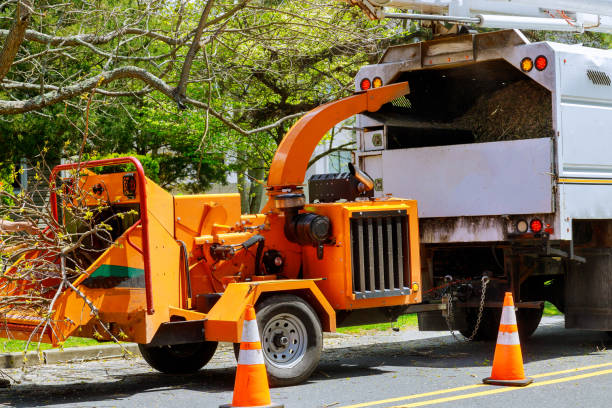  Wheatland, WY Tree Services Pros